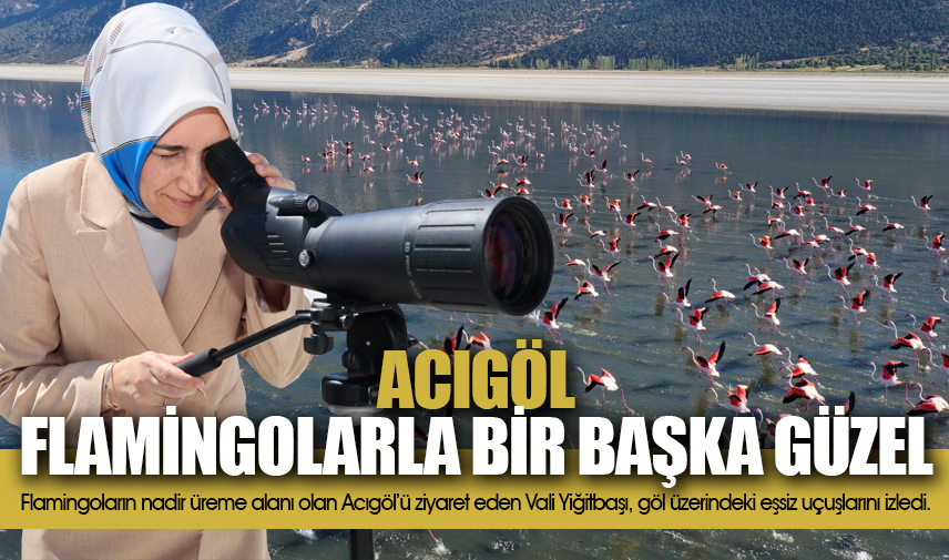 Acıgöl flamingolarla bir başka güzel